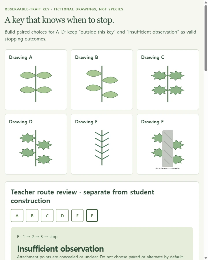 A key that knows when to stop — Build and peer-test a written dichotomous key for a bounded set of original specimen drawings, record each route and stop when a trait is…