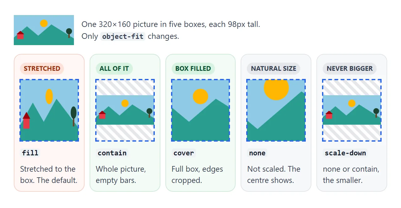 One wide picture in five identical boxes, one per object-fit value.
