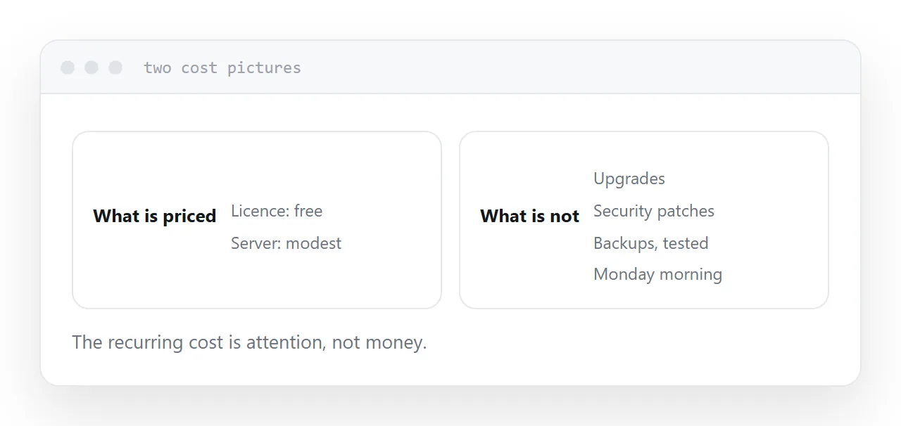 Two cost breakdowns, one showing licence and server, one showing the maintenance items.