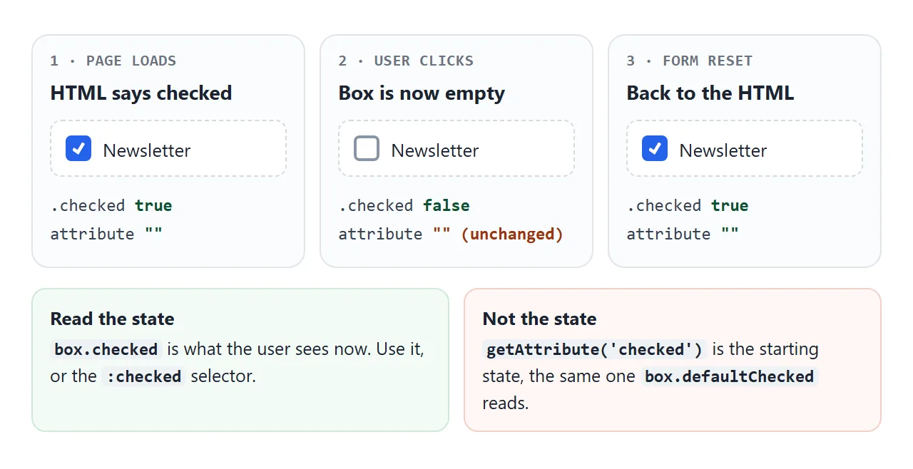Clicking changes .checked. The attribute still says what the HTML said, and Reset goes back to it.