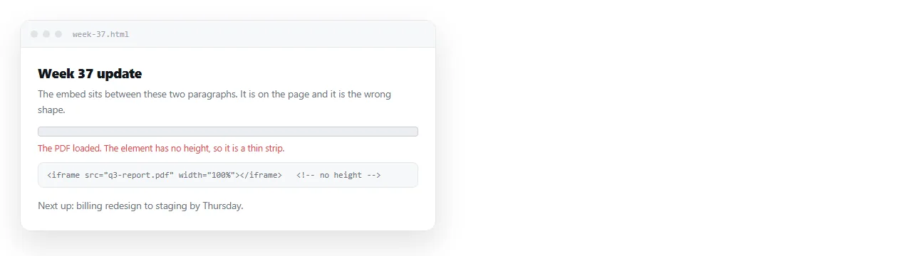 A PDF embed with width set and no height. The element renders as a thin strip.