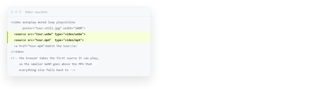 A video element listing a WebM source before the MP4 fallback.