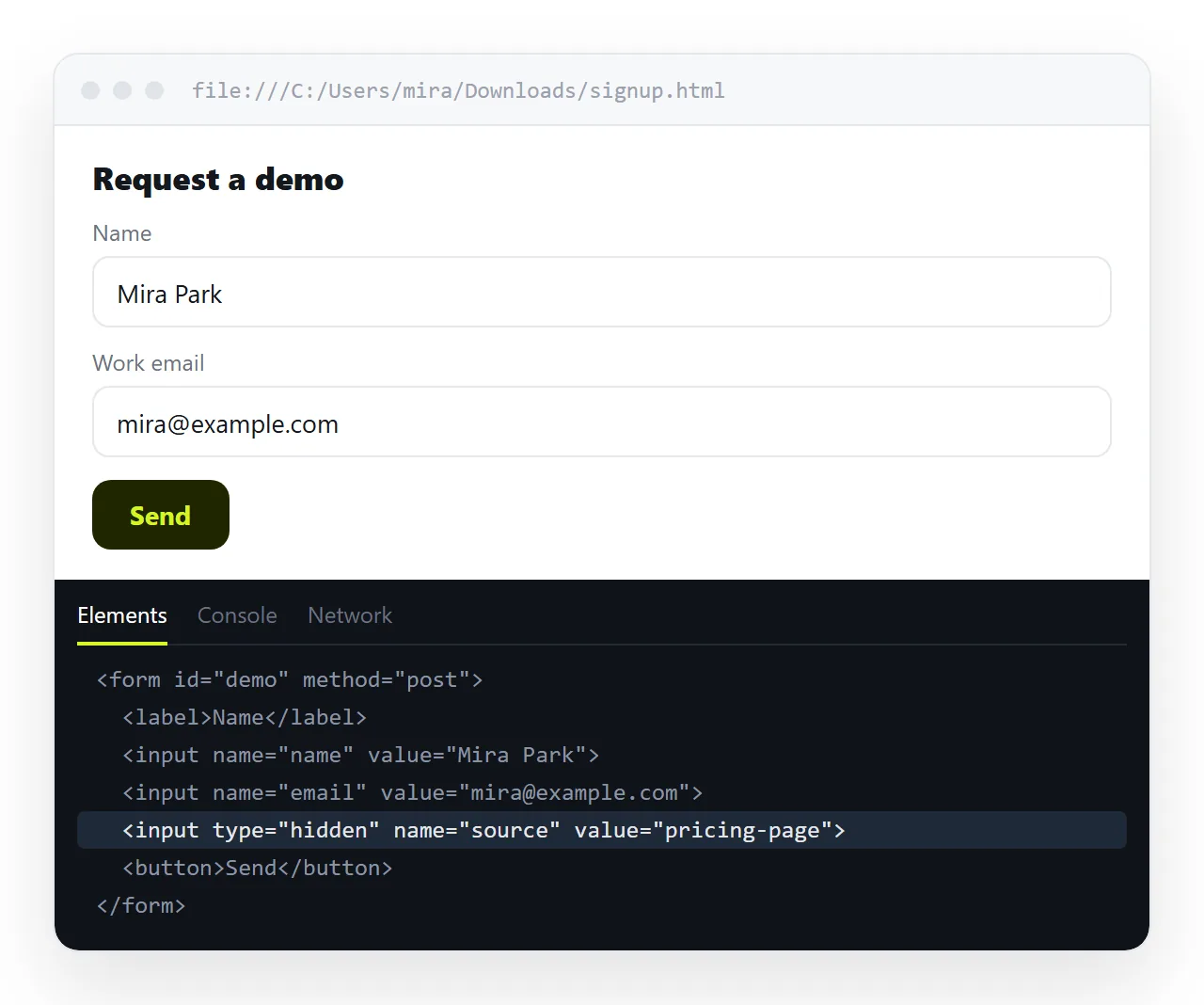 The developer tools element panel showing a hidden input and its value inside a rendered form.