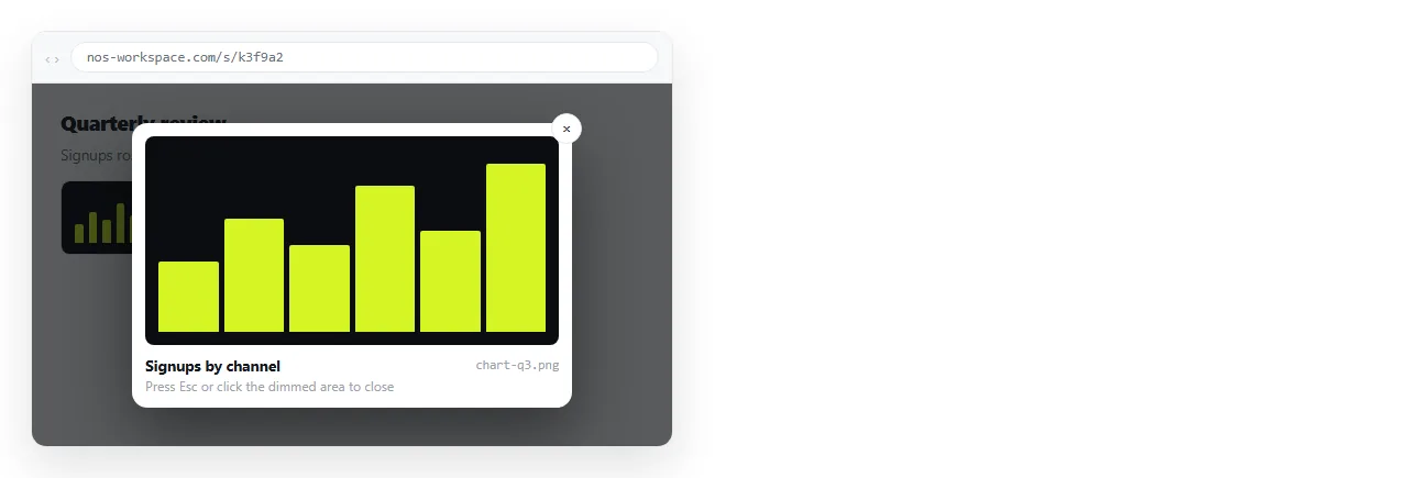 An image opened in a dialog overlay with a dimmed backdrop behind it.