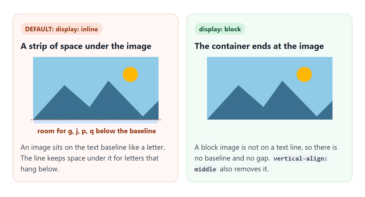An inline image leaves room for letters that hang below the line. display: block removes it.