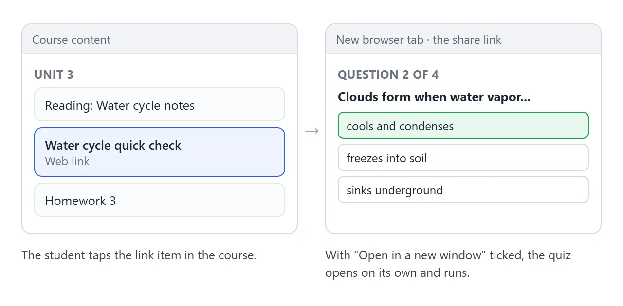 What a student sees: a link item in the course, then the page on its own.