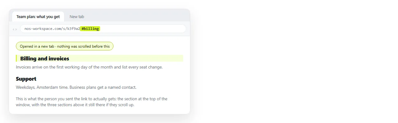 A section link pasted into a new tab, showing what a first time reader sees rather than a page already scrolled.