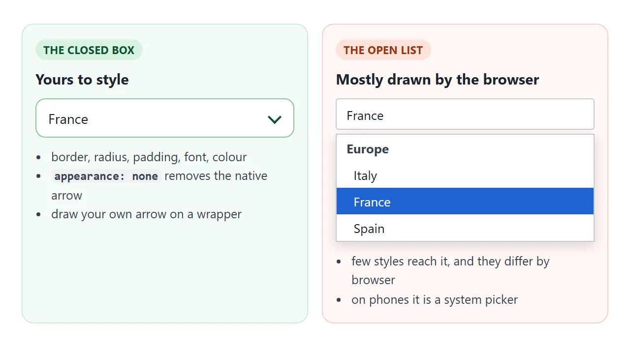 The closed box is yours. The open list is mostly drawn by the browser, and on phones it is a system picker.