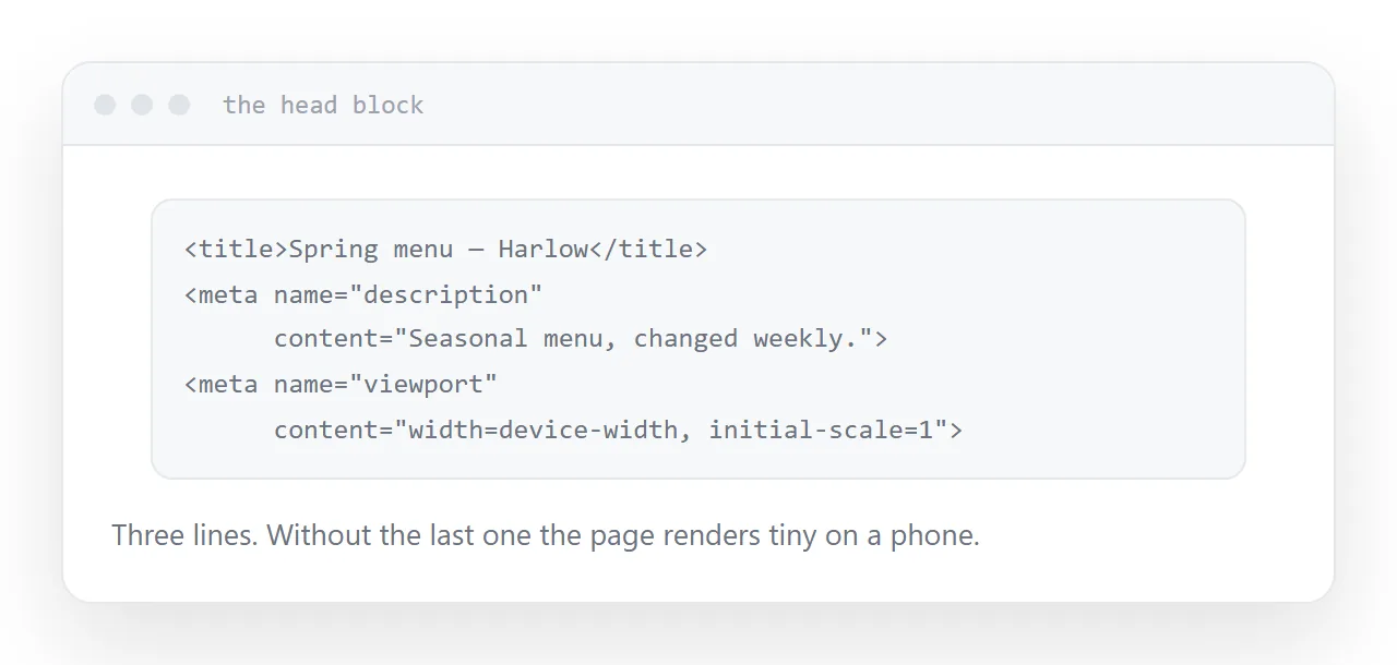 A page head showing title, description and viewport tags.
