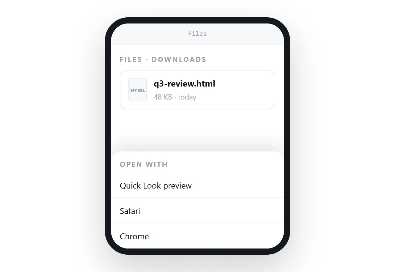 iPhone: save it to Files first, then tap it there. The preview renders with scripts off.