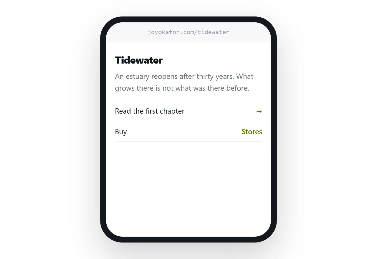 A book page with a sample, buying links and a signup for the next book.