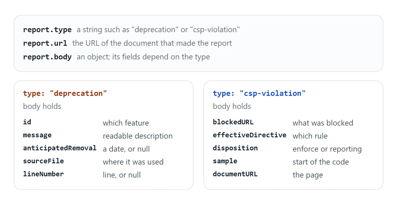 Every report has type, url and body. A deprecation body and a csp-violation body hold different fields.