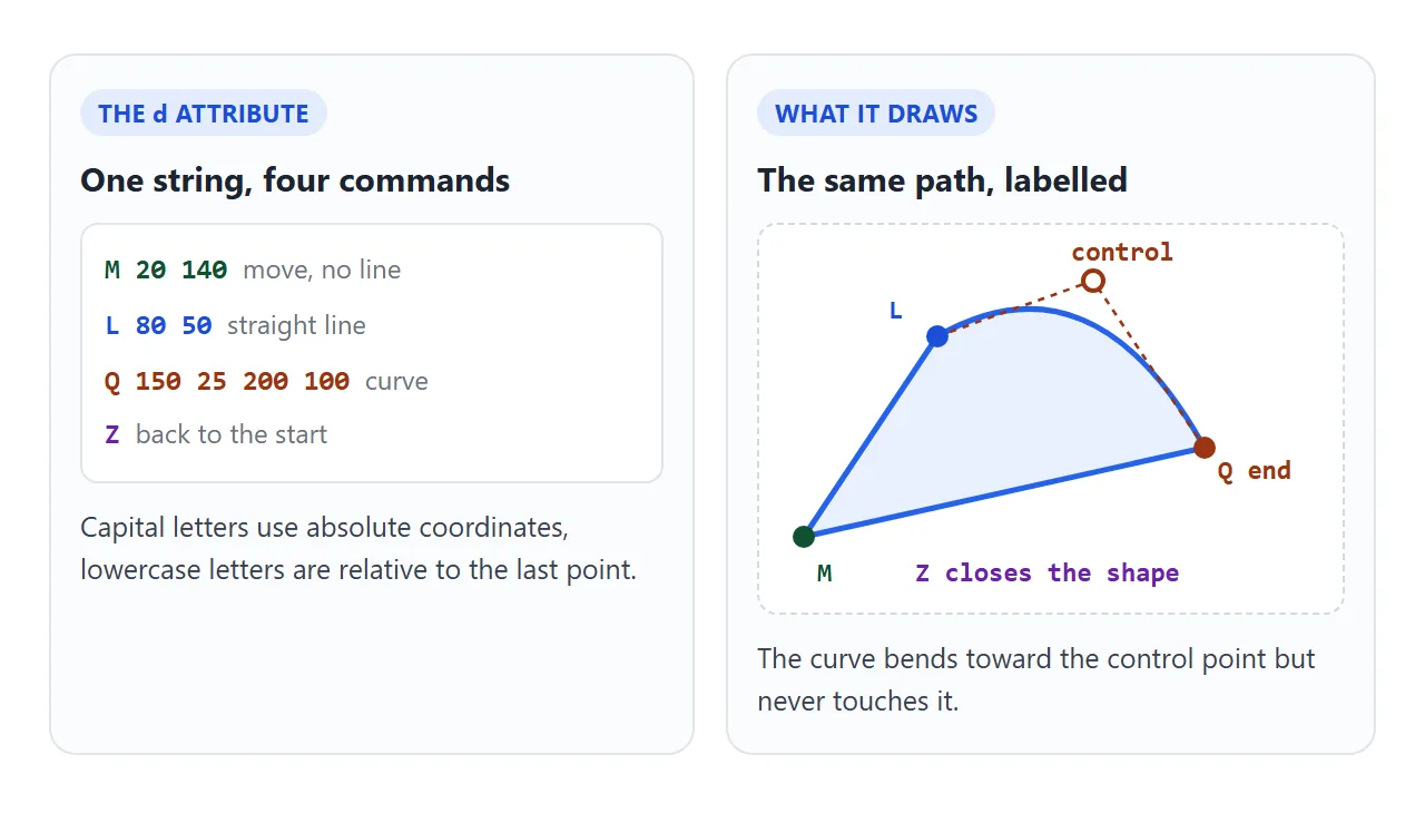 The d string on the left, drawn on the right. M starts, L draws a line, Q draws a curve toward a control point, Z closes the shape.