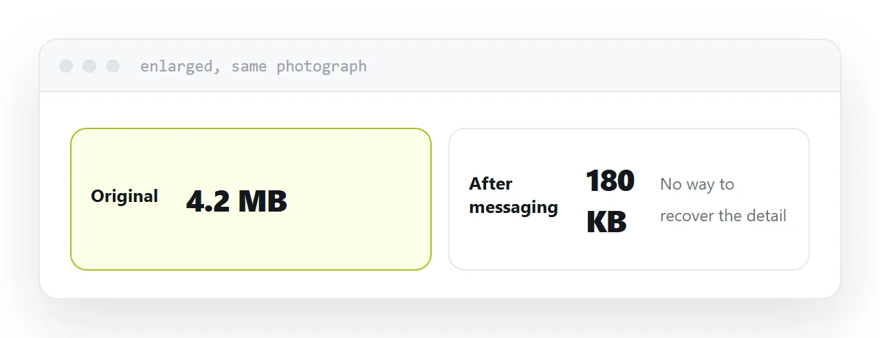 The same photograph at original quality and after passing through a messaging app.
